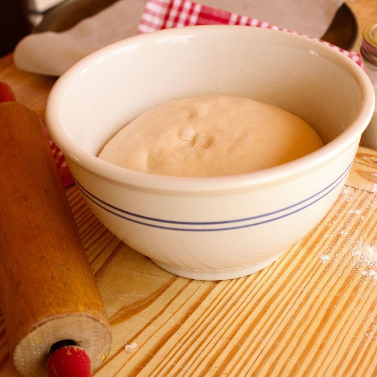 sourdough pizza crust