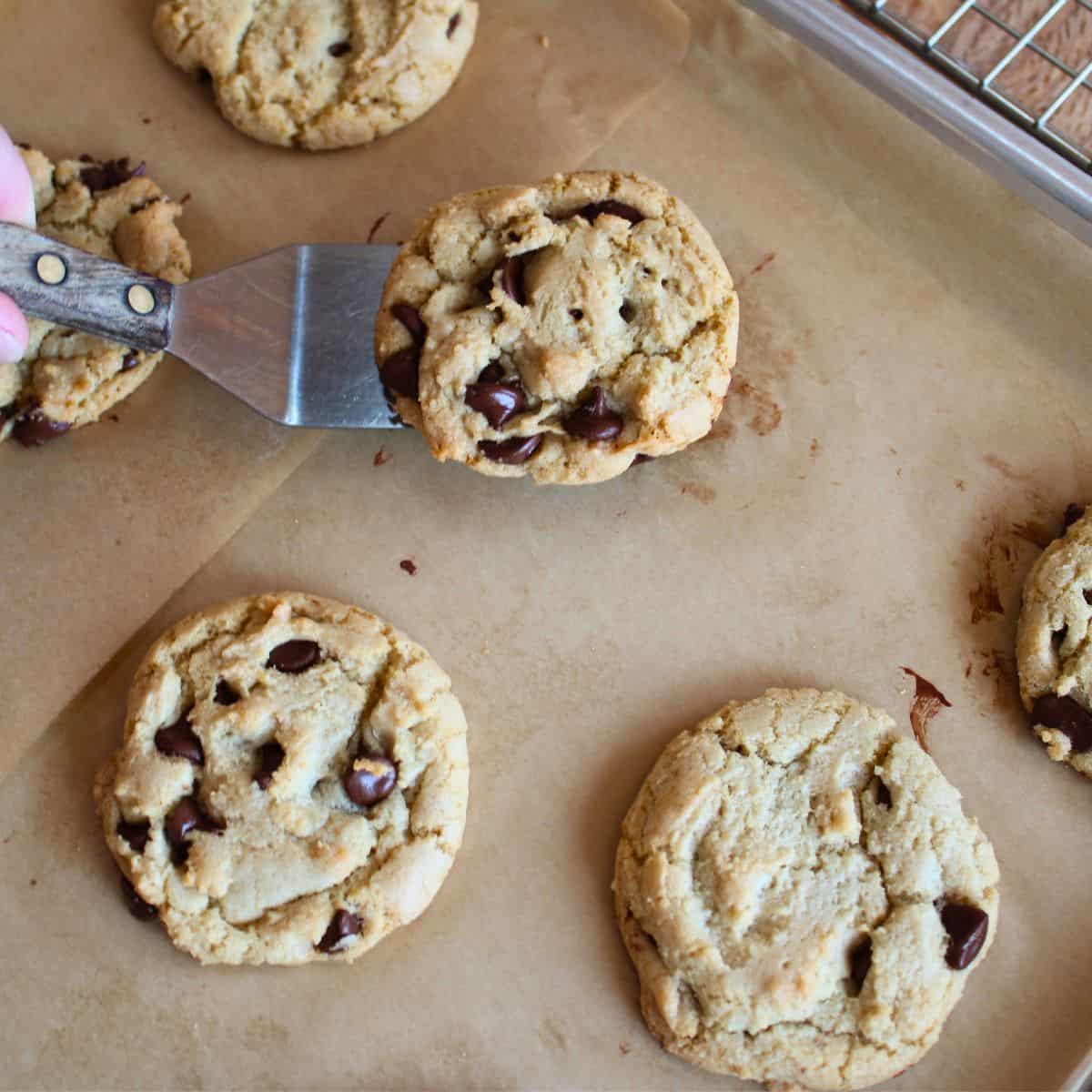 butterless cookie recipe