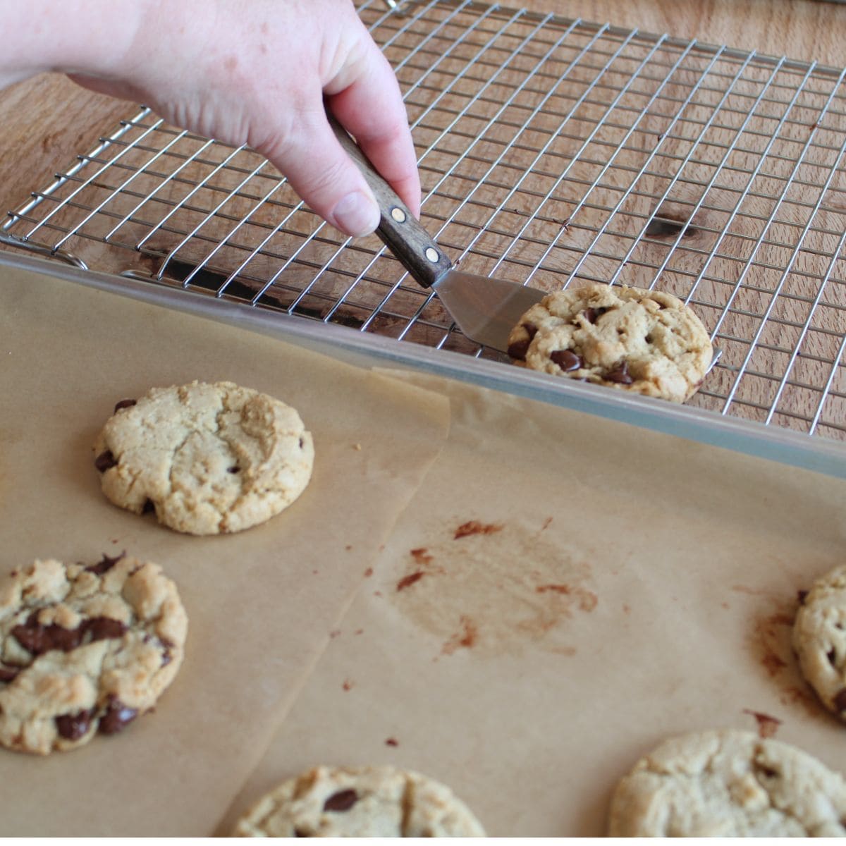how to start a bakery business from home