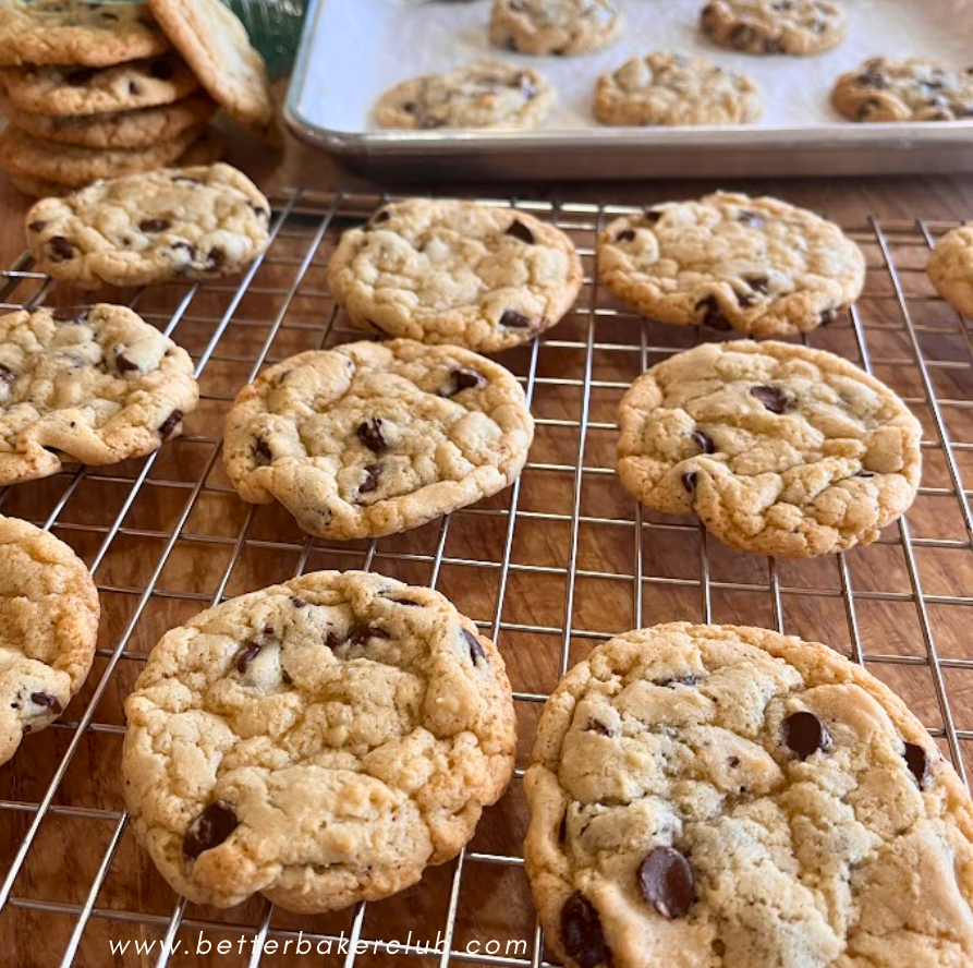 sourdough cookies recipes
