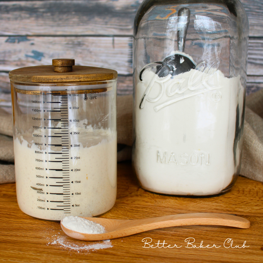 how to freeze sourdough starter