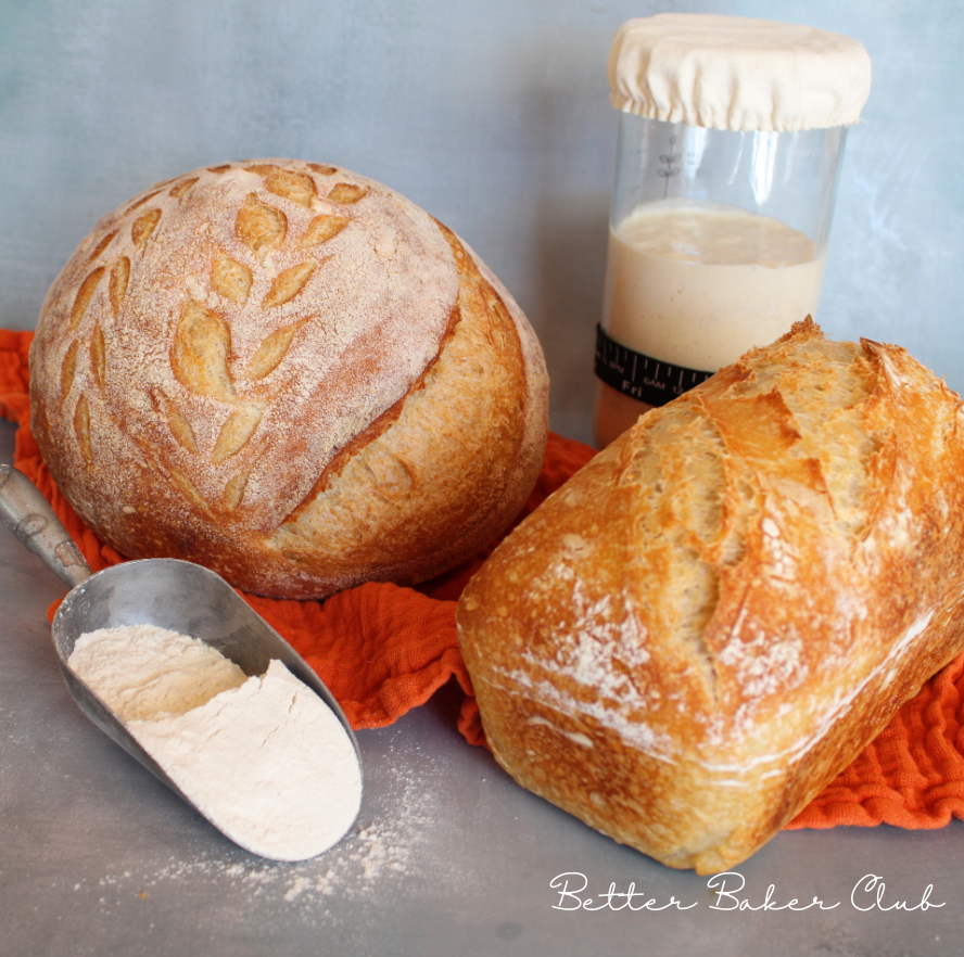 Sourdough