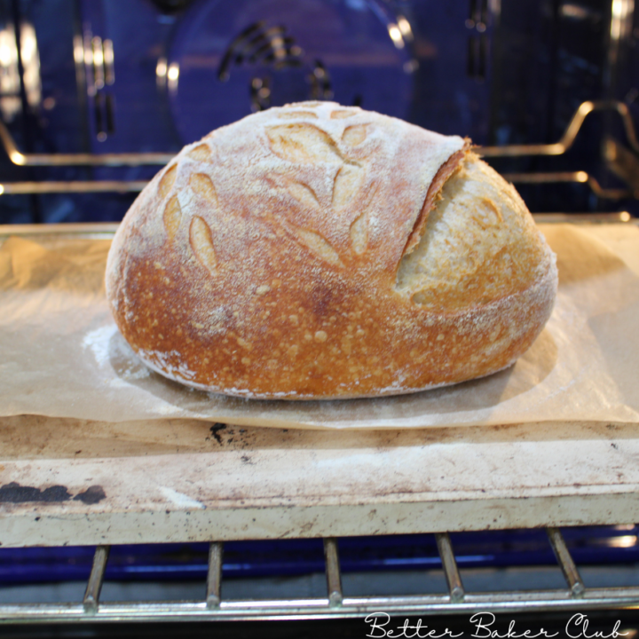 Breathtaking Can You Bake Sourdough Without A Dutch Oven Photo Art Breathtaking Can You Bake Sourdough Without A Dutch Oven Photo Art