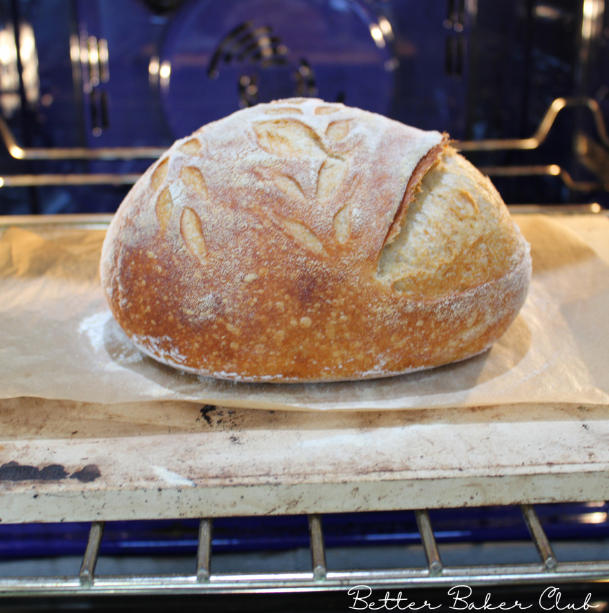 sourdough bread recipe without a dutch oven