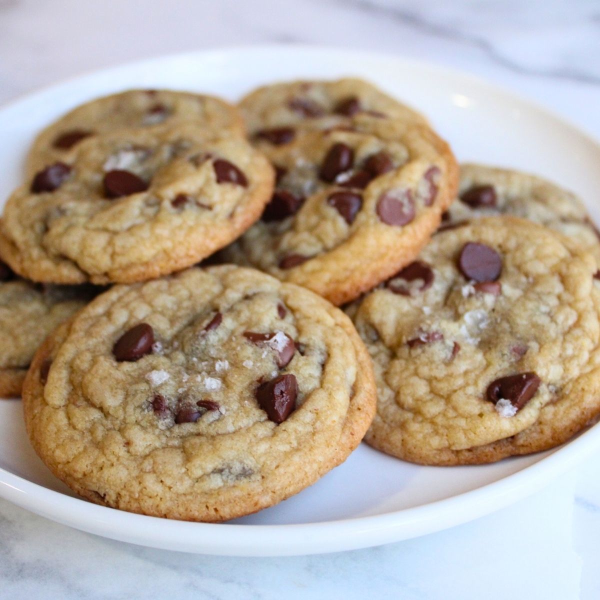 bakery style chocolate chip cookie recipes