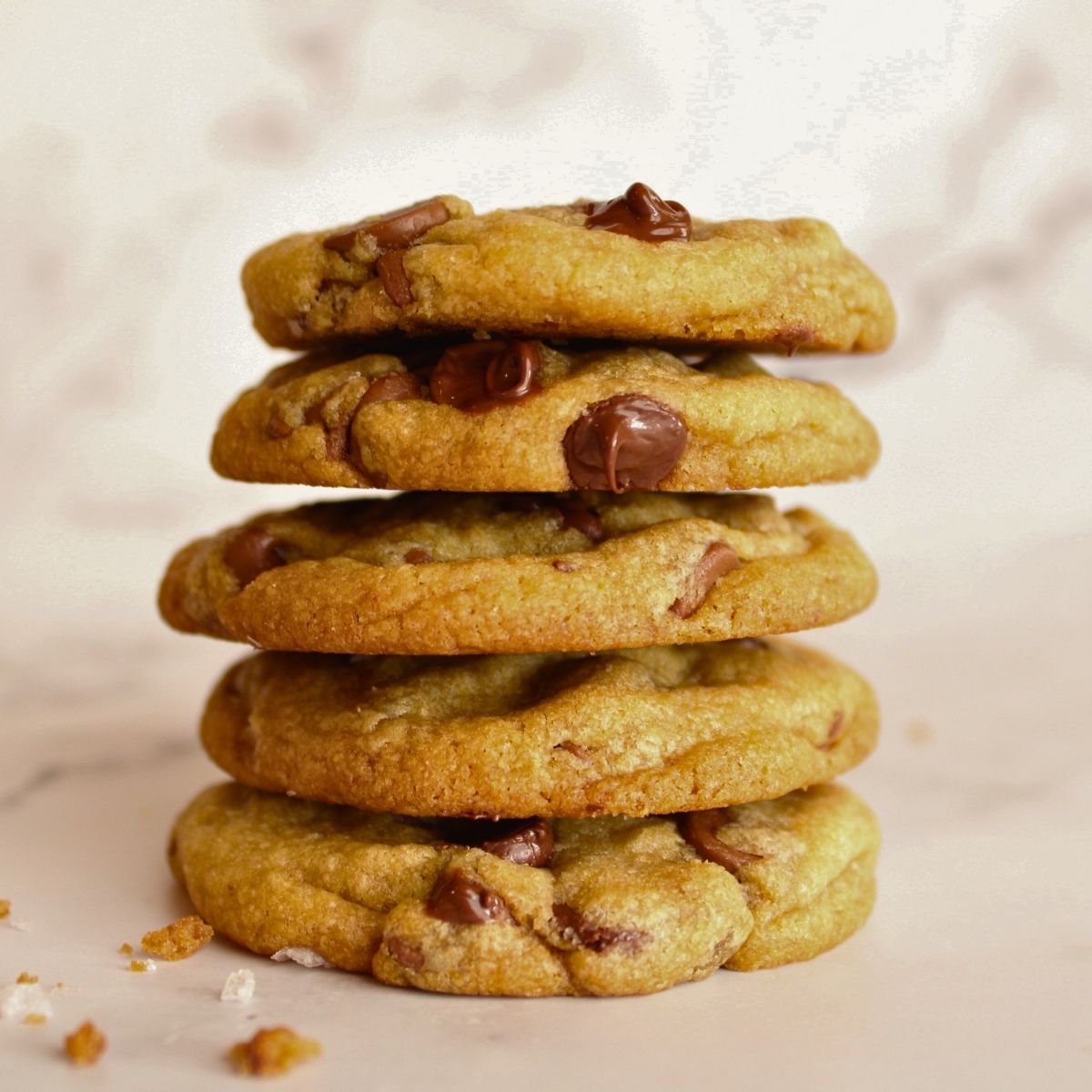 bakery style chocolate chip cookie recipes