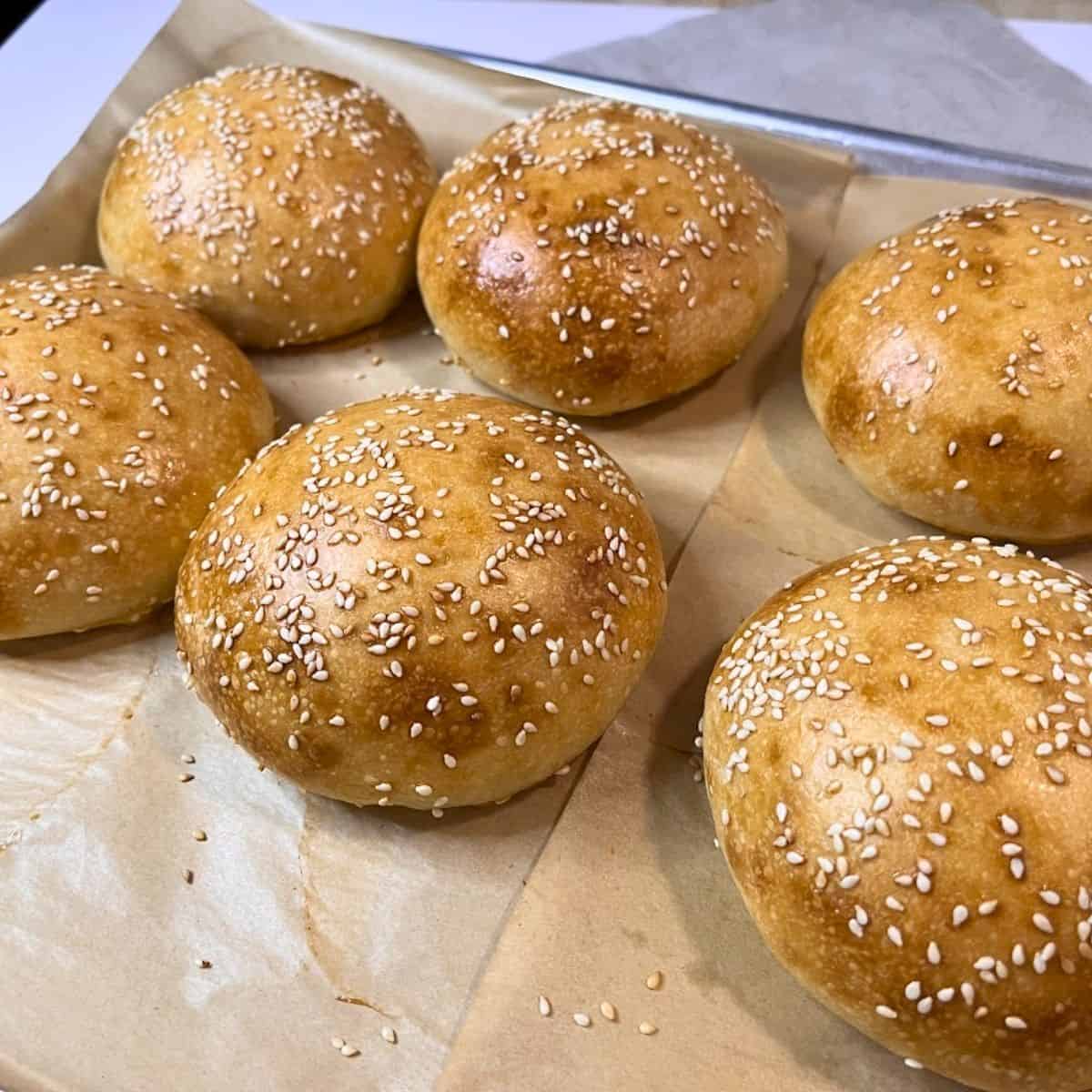 Sourdough buns recipe