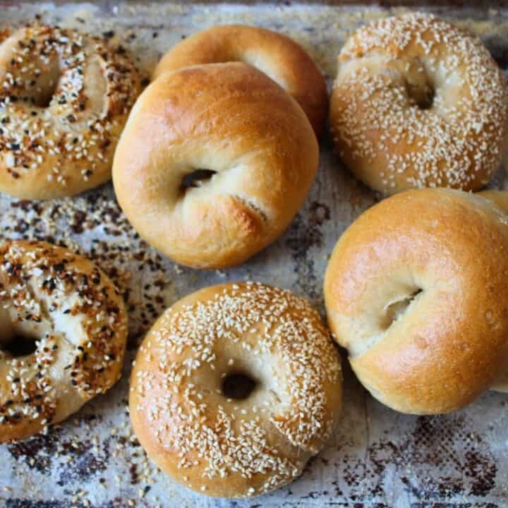overnight bagel recipe