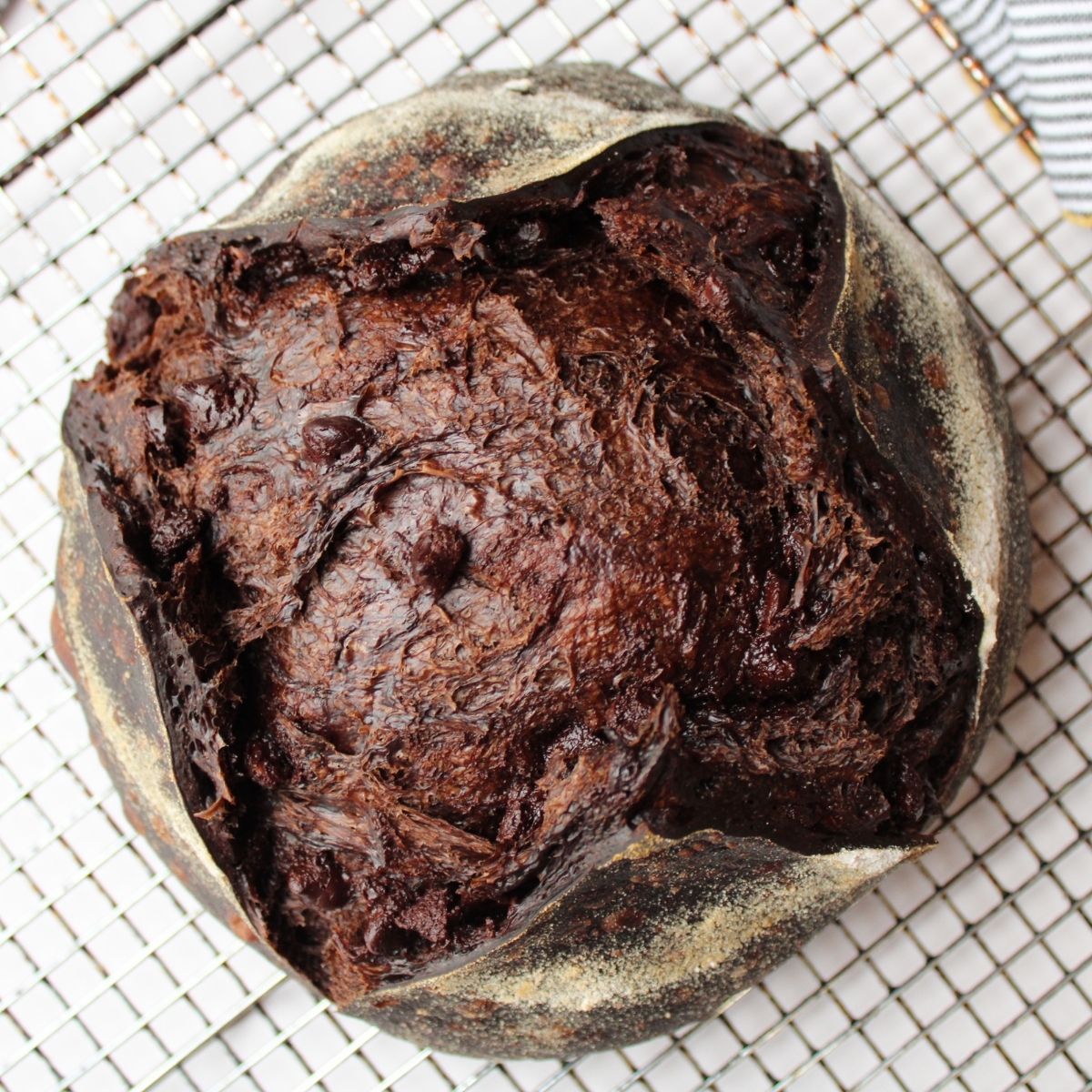 chocolate sourdough bread recipe