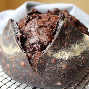 chocolate sourdough bread recipe