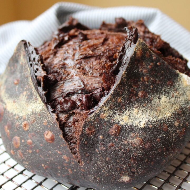 chocolate sourdough bread recipe
