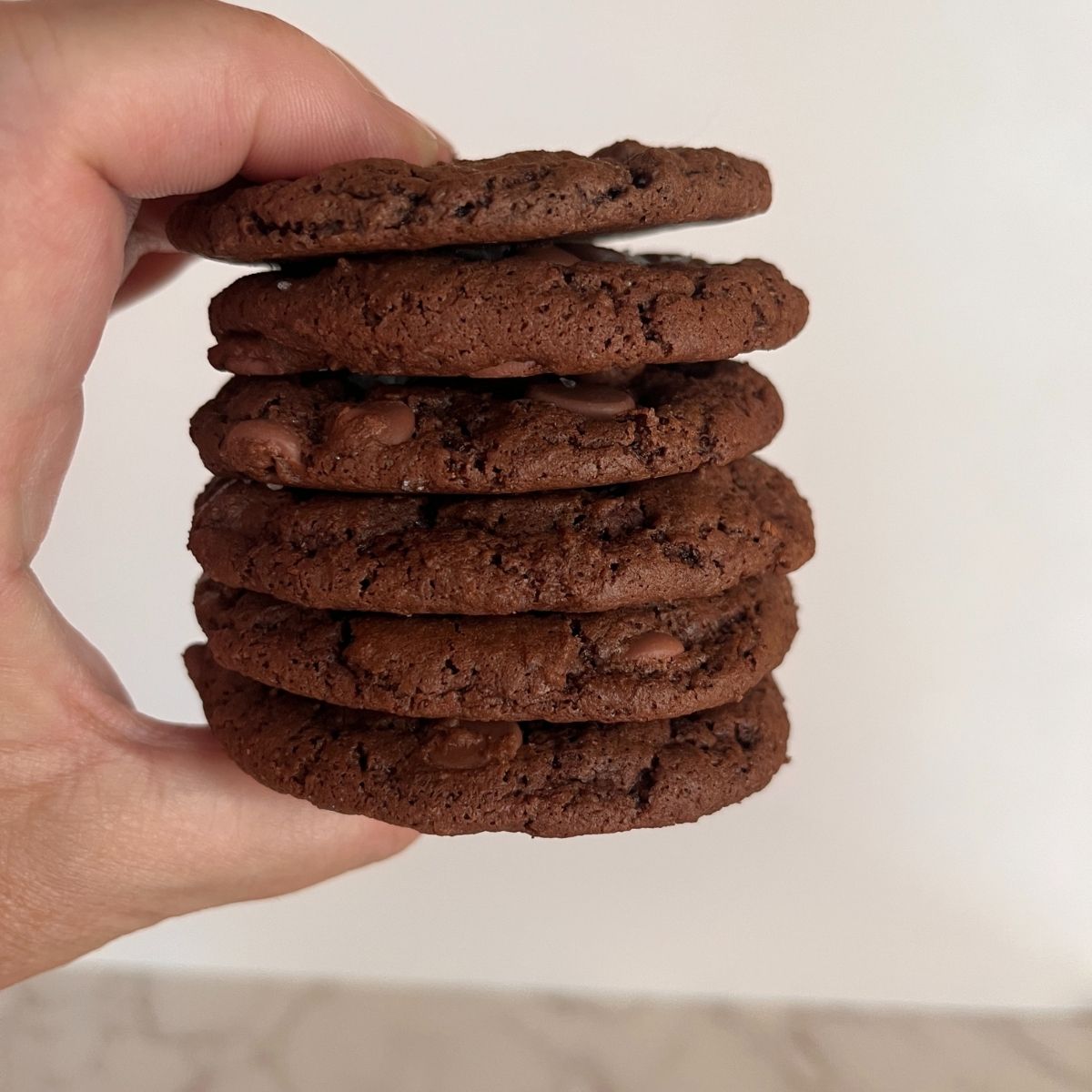 chocolate fudge cookies recipes