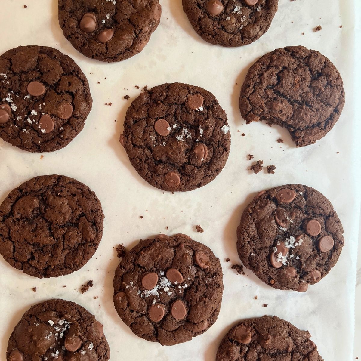 chocolate fudge cookies recipes