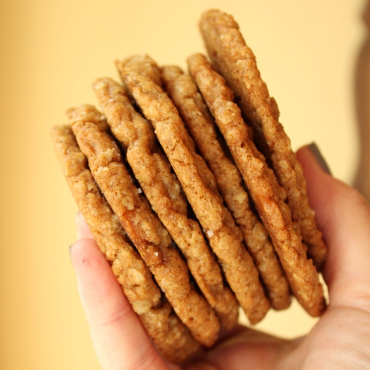 salted caramel oatmeal cookie recipe