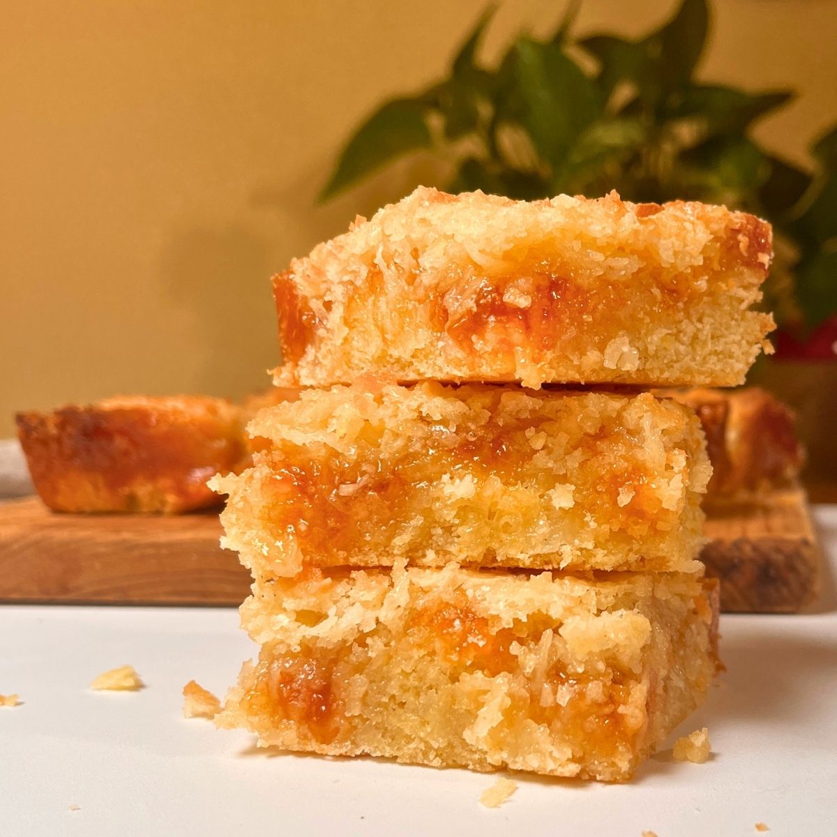 apricot squares recipe