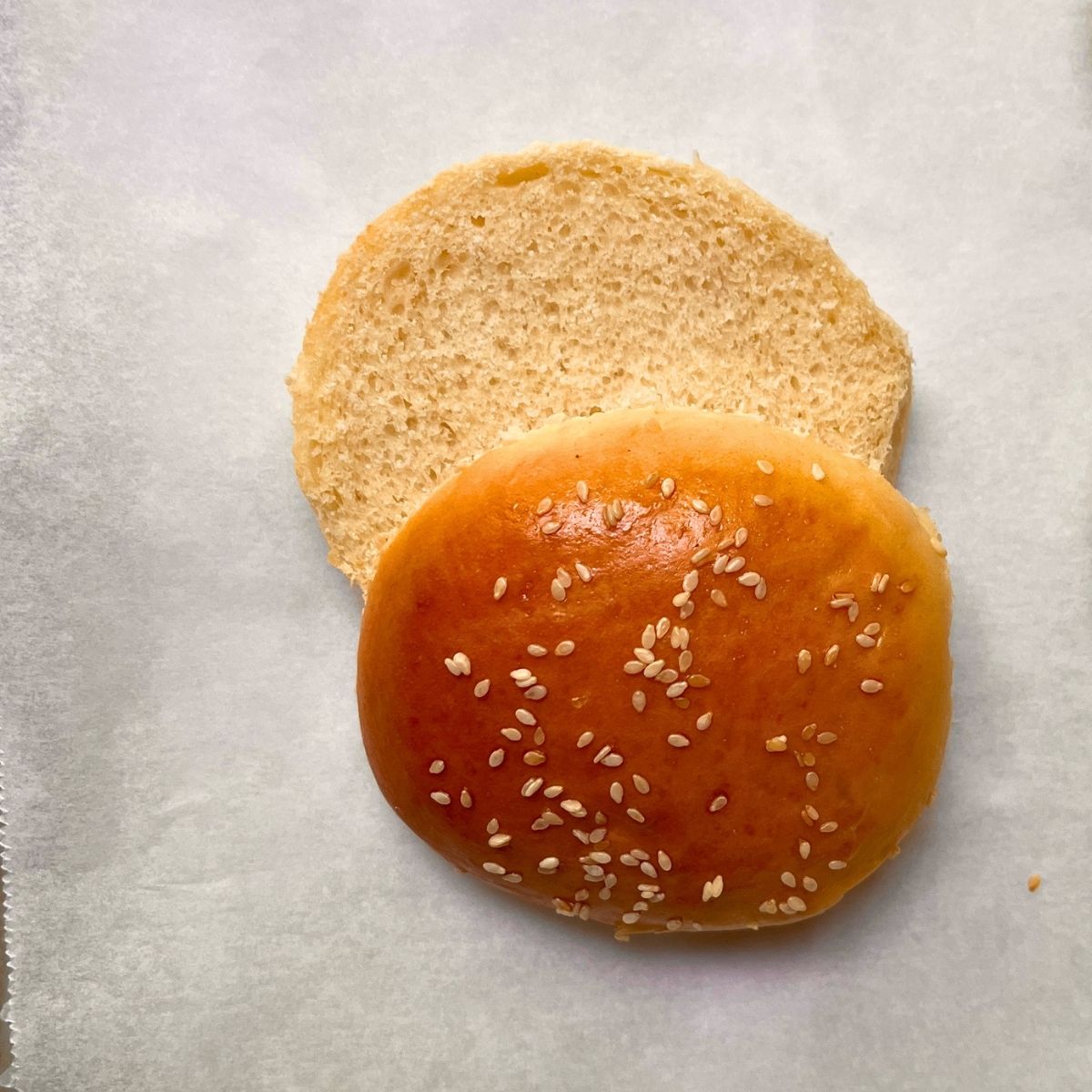 Homemade Hamburger Buns