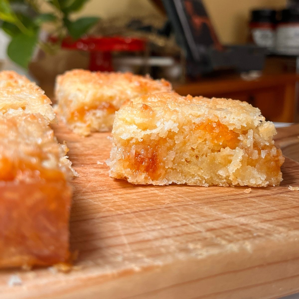 apricot squares recipe