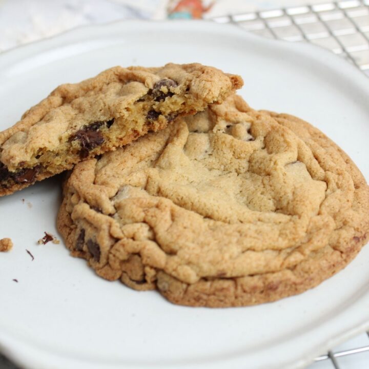gluten free chocolate chip cookie